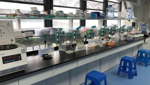 早篩創(chuàng)新與科技融合，天浚元生生物獲國(guó)高生物戰(zhàn)投，領(lǐng)跑教育科技軟件研發(fā)新賽道